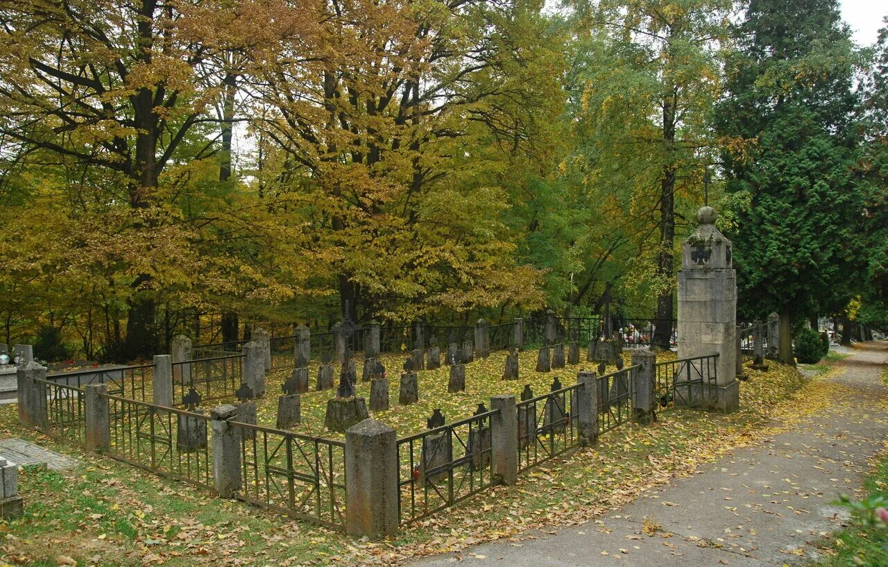 Польское кладбище в смоленске фото World War i Cemetery nr 239 in Łęki Górne, кладбище, Польша, Подкарпатское воево