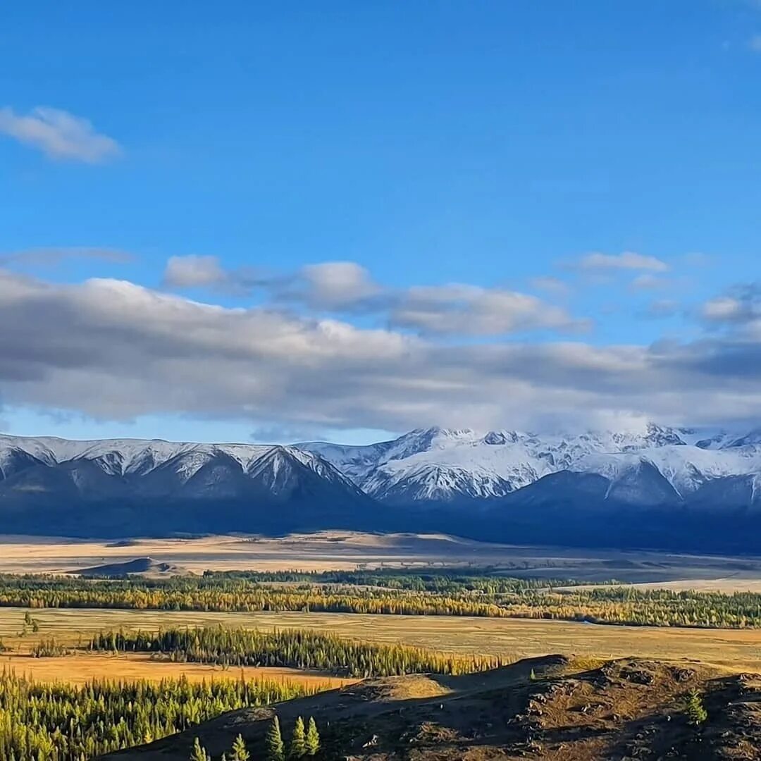 Поля алтая фото Просторы Алтайского края. Природа края очень разнообразна, содержит такие климат