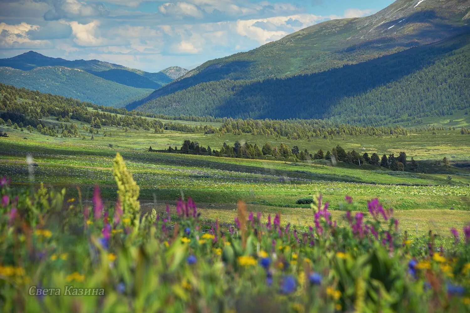 Поля алтая фото Фото с тегом "коксу" - Russian Traveler