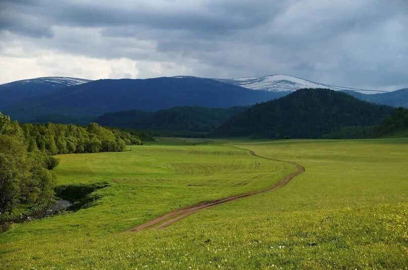 Поля алтая фото Просторы Алтайского края. 2023 ВЕЛИКАЯ СИБИРЬ ВКонтакте