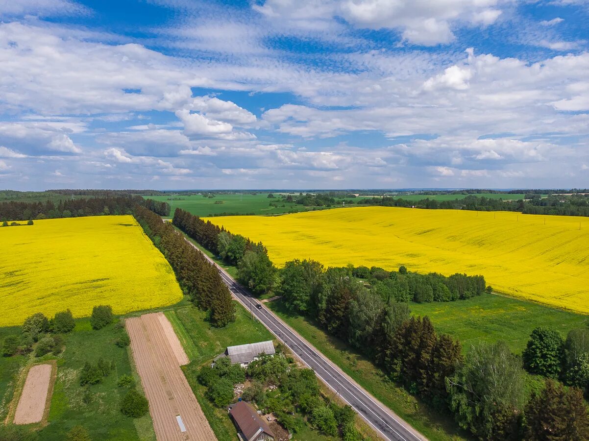 Поля беларуси фото Картинки БЕЛ ПОЛЕ КУРСК