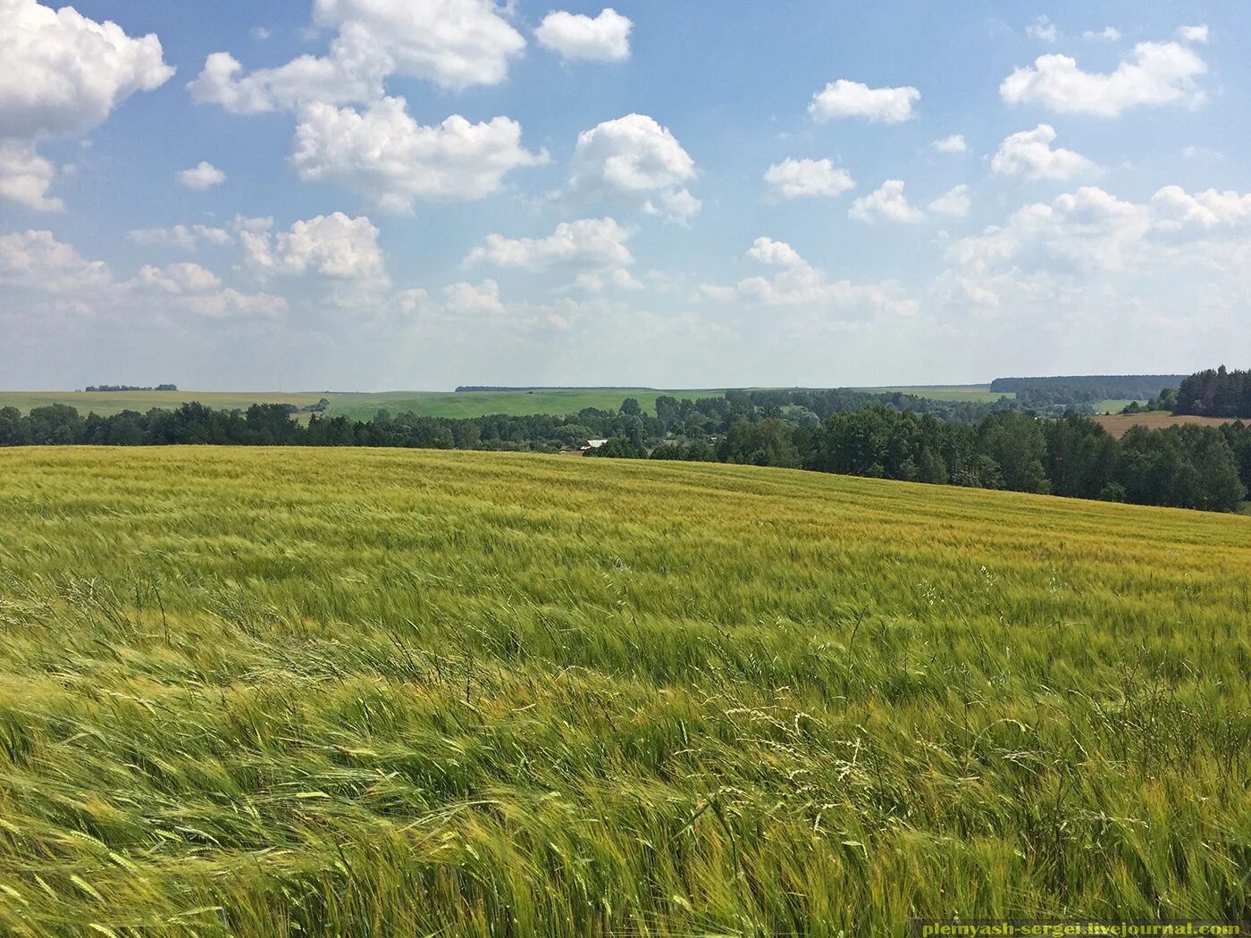 Поля беларуси фото Солнечная покатушка Мир-Новогрудок: plemyash_sergei - ЖЖ