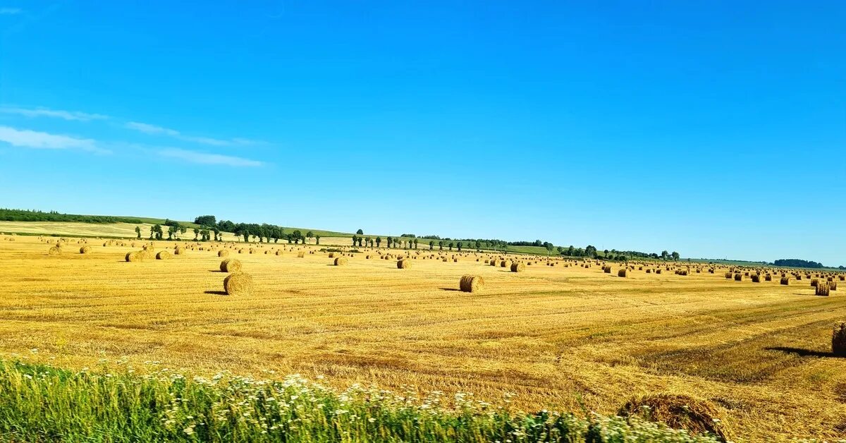 Поля беларуси фото Дорожное 4 Пикабу