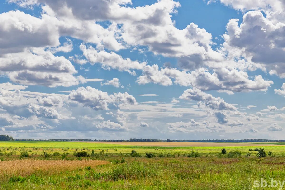 Поля беларуси фото Приволье фото YugNash.ru