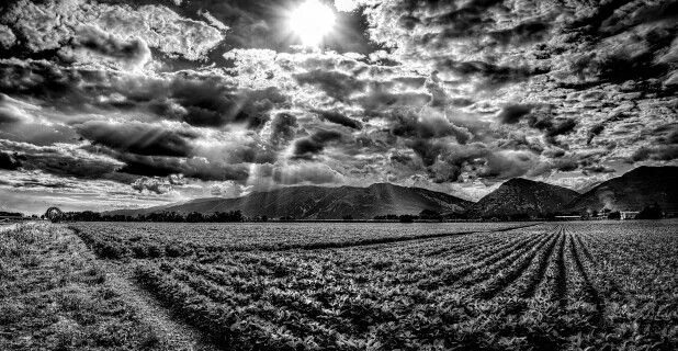 Поля белые на фото в фотошопе Seeing the sun's rays reminds me of God Black and white landscape, Landscape, Bl