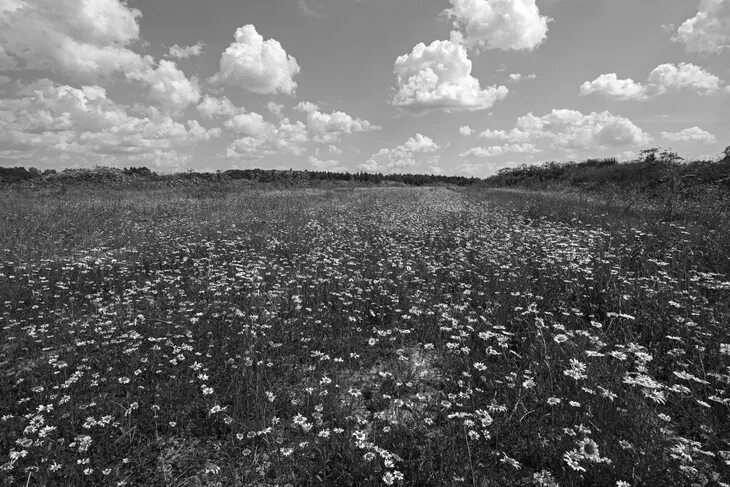 Поля белые на фото в фотошопе Пейзаж и фотографии природы. Основы / Галерея работ / Fotoshkola.net