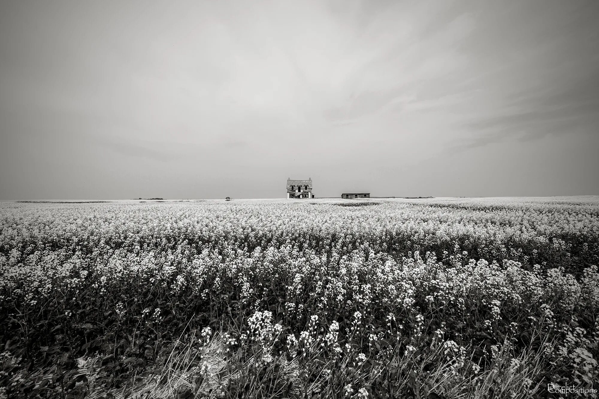 Поля белые на фото в фотошопе Wallpaper : sunlight, landscape, abandoned, sky, field, house, morning, horizon,