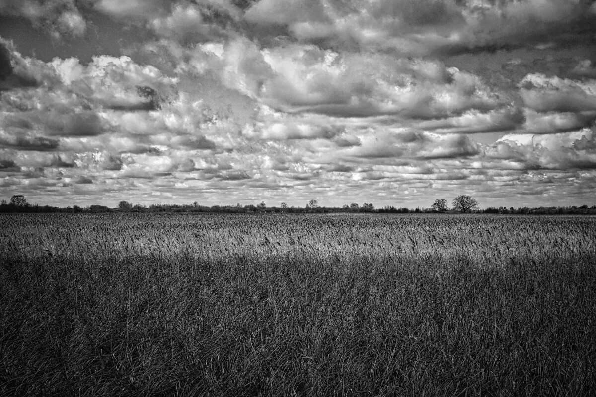 Поля белые на фото в фотошопе Free Images : landscape, nature, horizon, cloud, black and white, sky, field, me