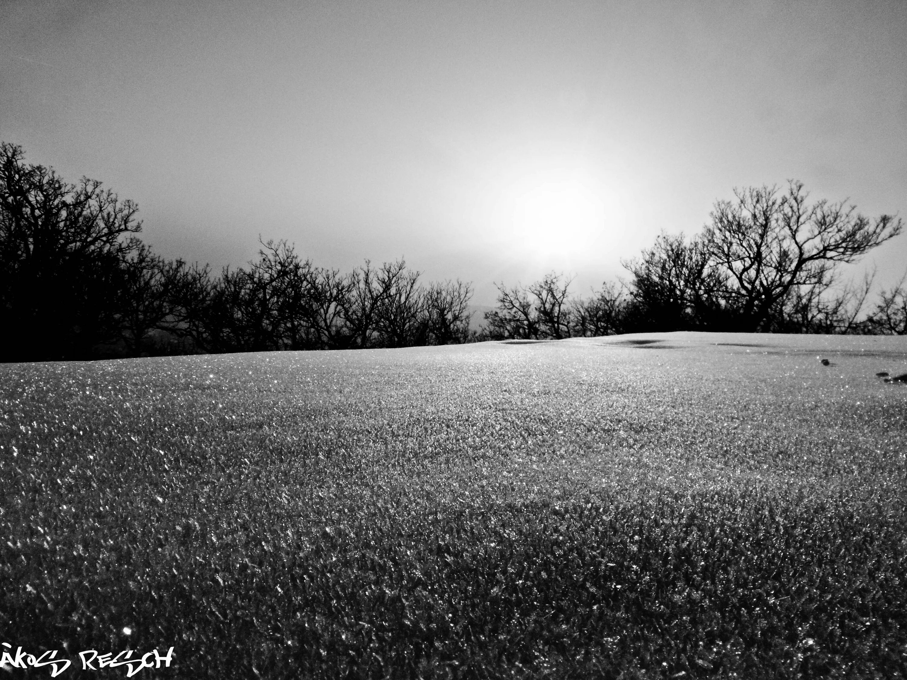 Поля белые на фото в фотошопе Black and white landscapes nature winter wallpaper Black and white landscape, La