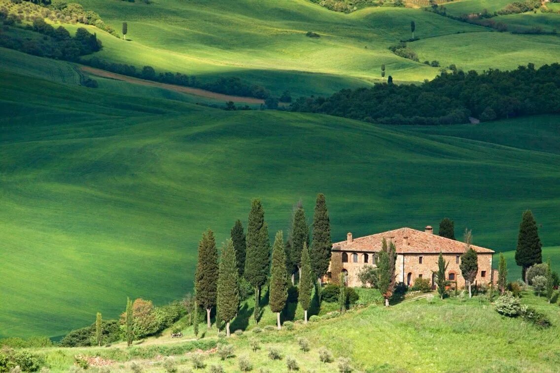 Поля италии фото Toscana Tuscany landscape, Tuscany wine tour, Italy tours