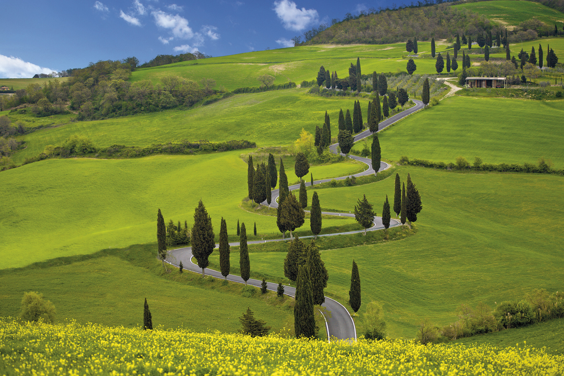 Поля италии фото Tuscany