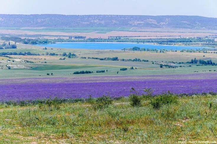 Поля крыма фото Крымский "Прованс". Лавандовые поля в Крыму: фото, как добраться Истории наших п