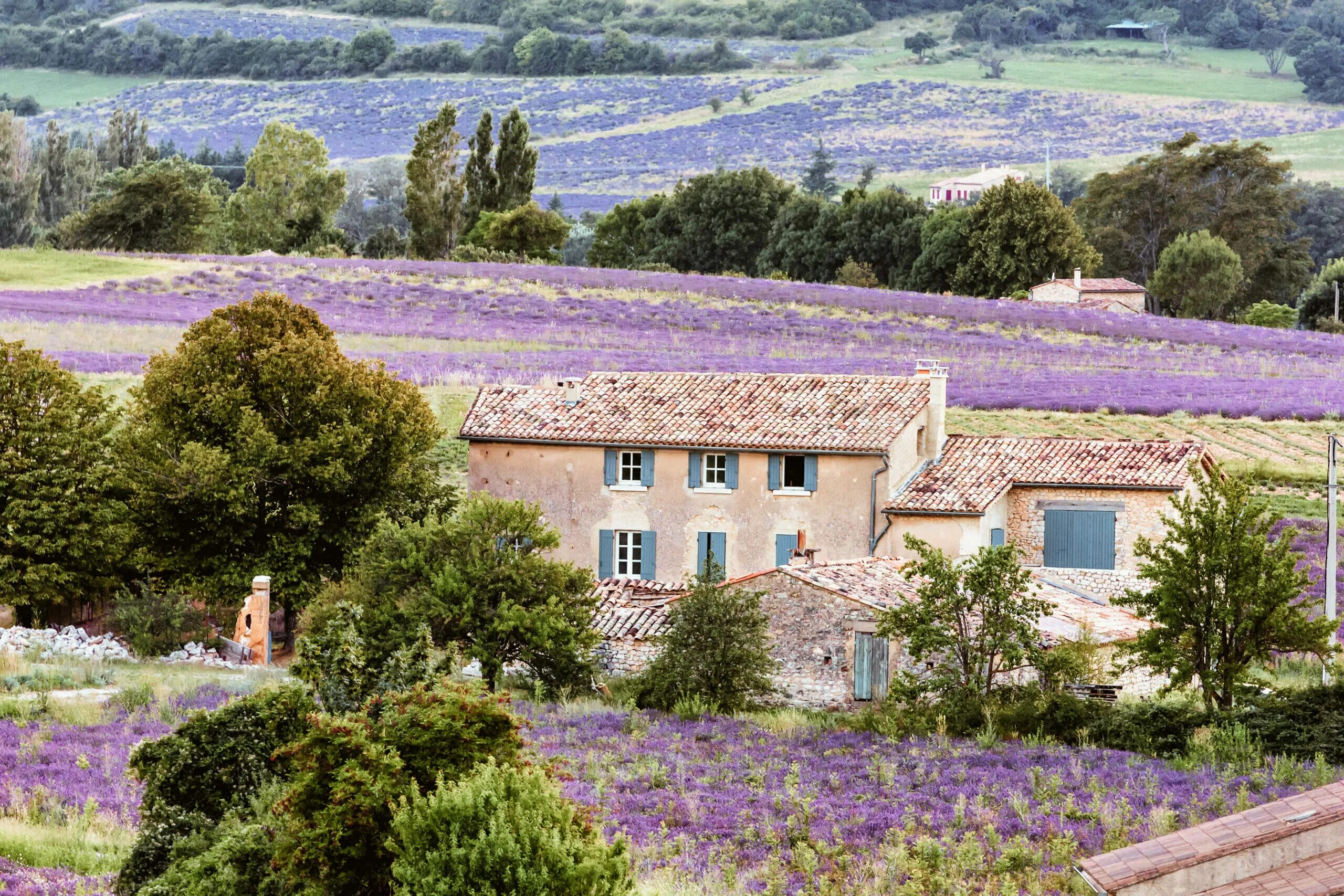 Lavender Field Summer Sunset Landscape Near Sault Stock Photo - Image of archite