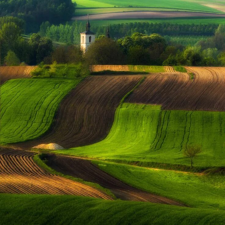 Поля разные фото Green power. Spring on the fields. Poland. Czech Rep. on Behance Paysage, Pologn