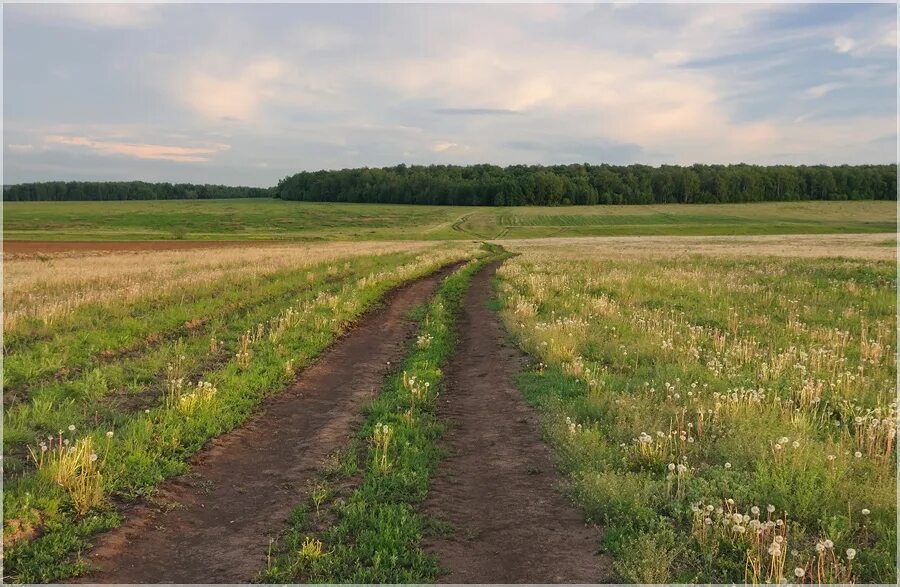 Поля ростовской области фото Фото жизнь - Алексей Андросов - Пейзаж - Русское поле