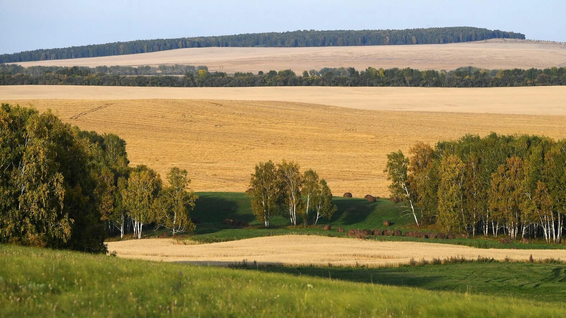 Поля ростовской области фото Тела украинских солдат, брошенных в Новоселовском, передадут родственникам - РИА