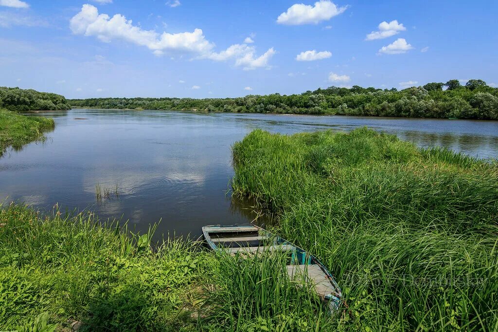 Поля шатина алатырь фото Алатырский Район Фото - Foto-na-telefon.ru