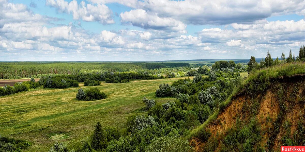 Поля шатина алатырь фото Фото: Долина реки Алатырь. Alexander Karasev. Пейзаж. Фотосайт Расфокус.ру