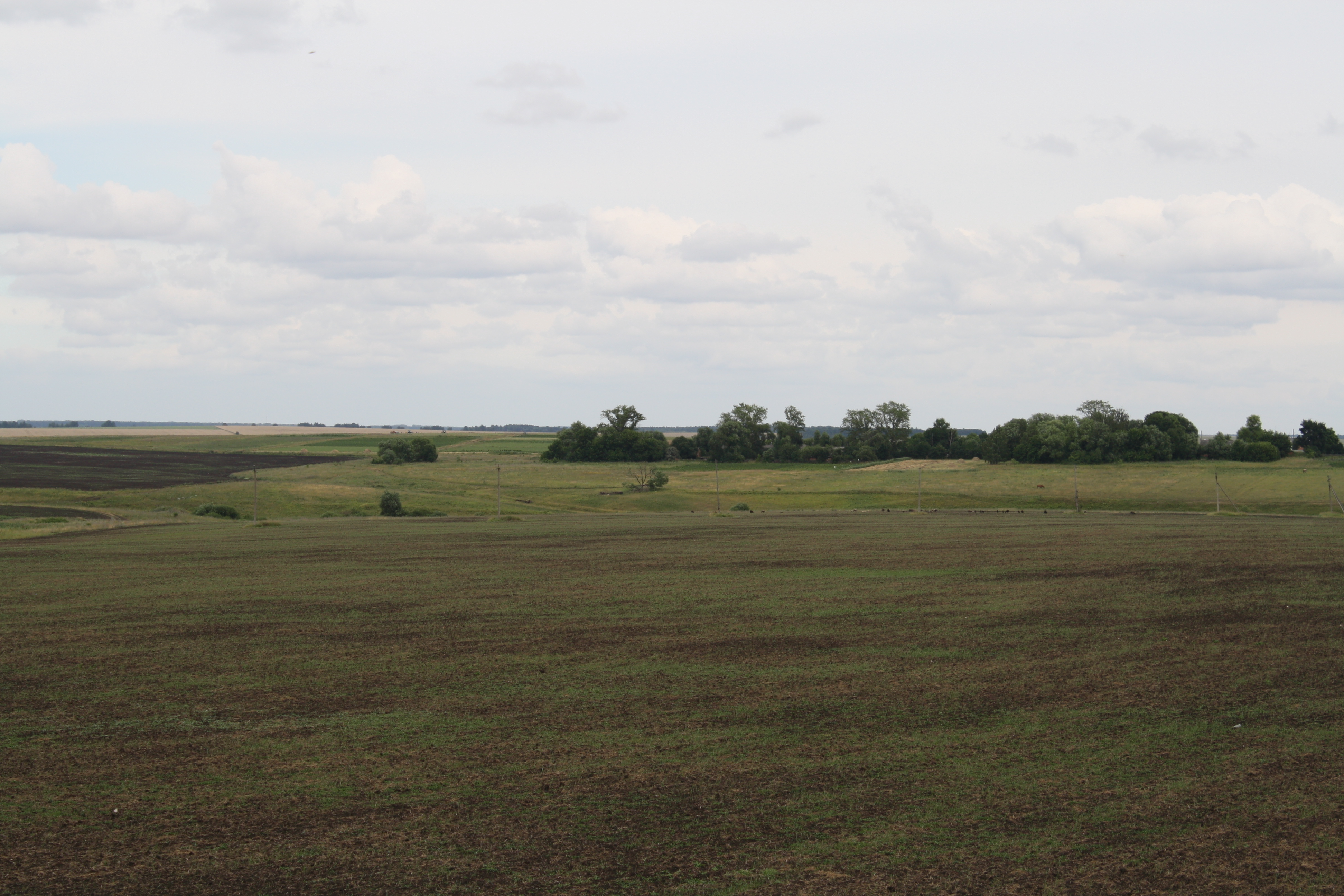 Поля тульской области фото File:Fields of Tula region. Russia. Поля Тульской области. Россия - panoramio (1