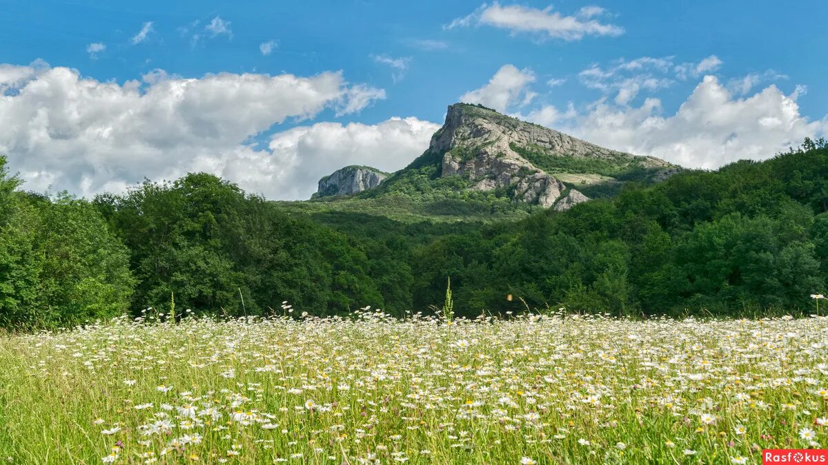 Поляна крым фото Фото: Ялпах-Кая. Фотограф Игорь Кузьмин. Пейзаж - Фотосайт Расфокус.ру