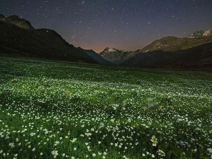 Поляна ночью фото Alpine Oasis Landscape photos, National parks, National geographic photos