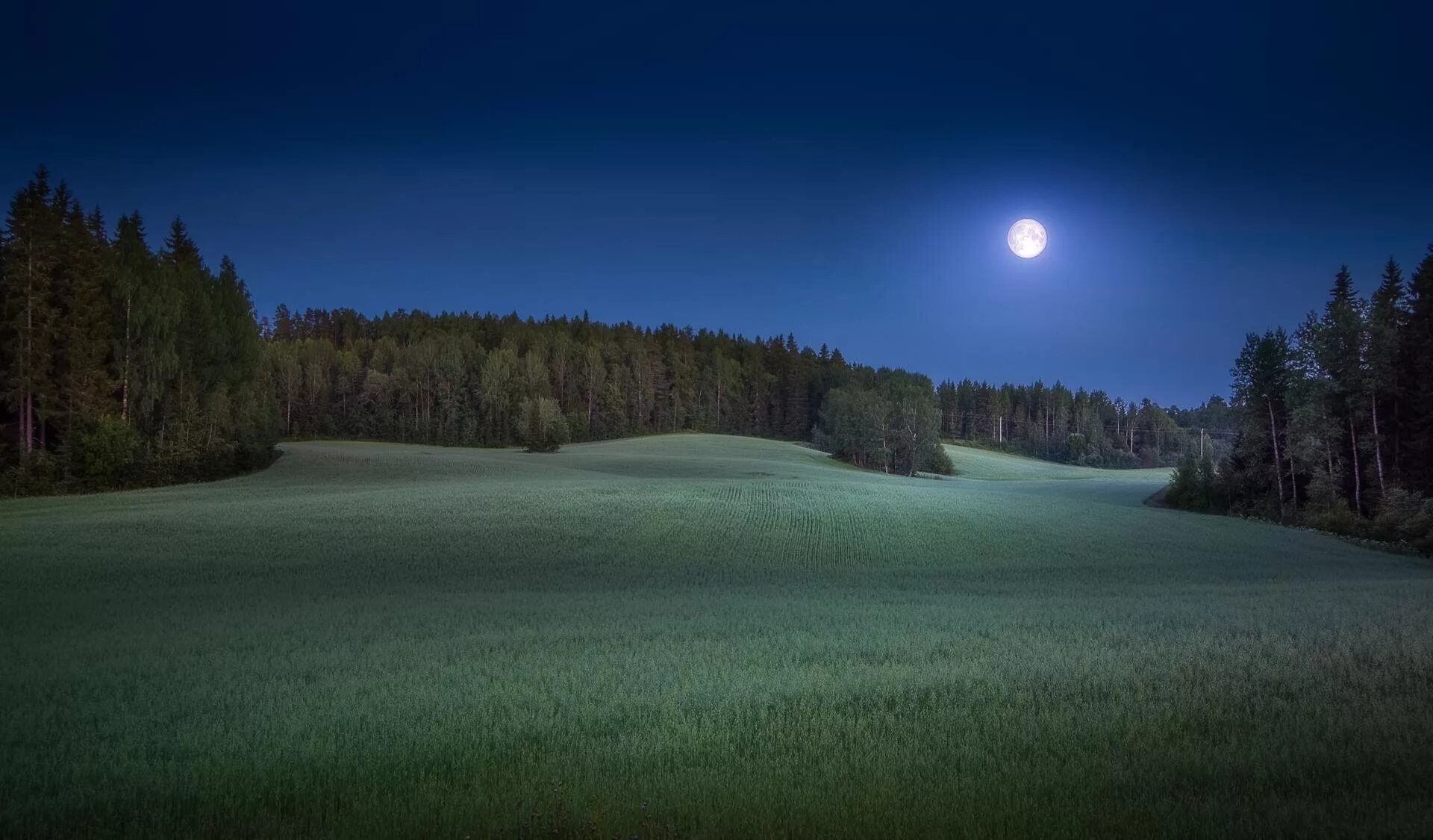 Поляна ночью фото field moon forest wallpapers from photomonstr - images from Fonwall