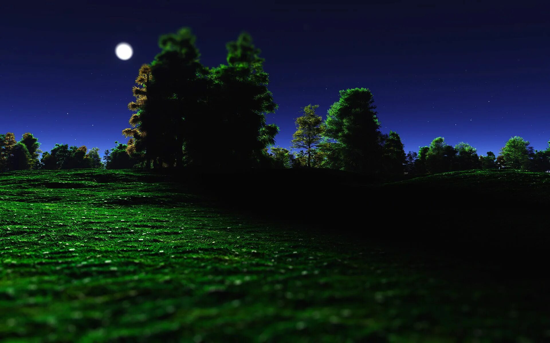 Поляна ночью фото Starless, Moonlight night Landscape, Nature, Nature wallpaper