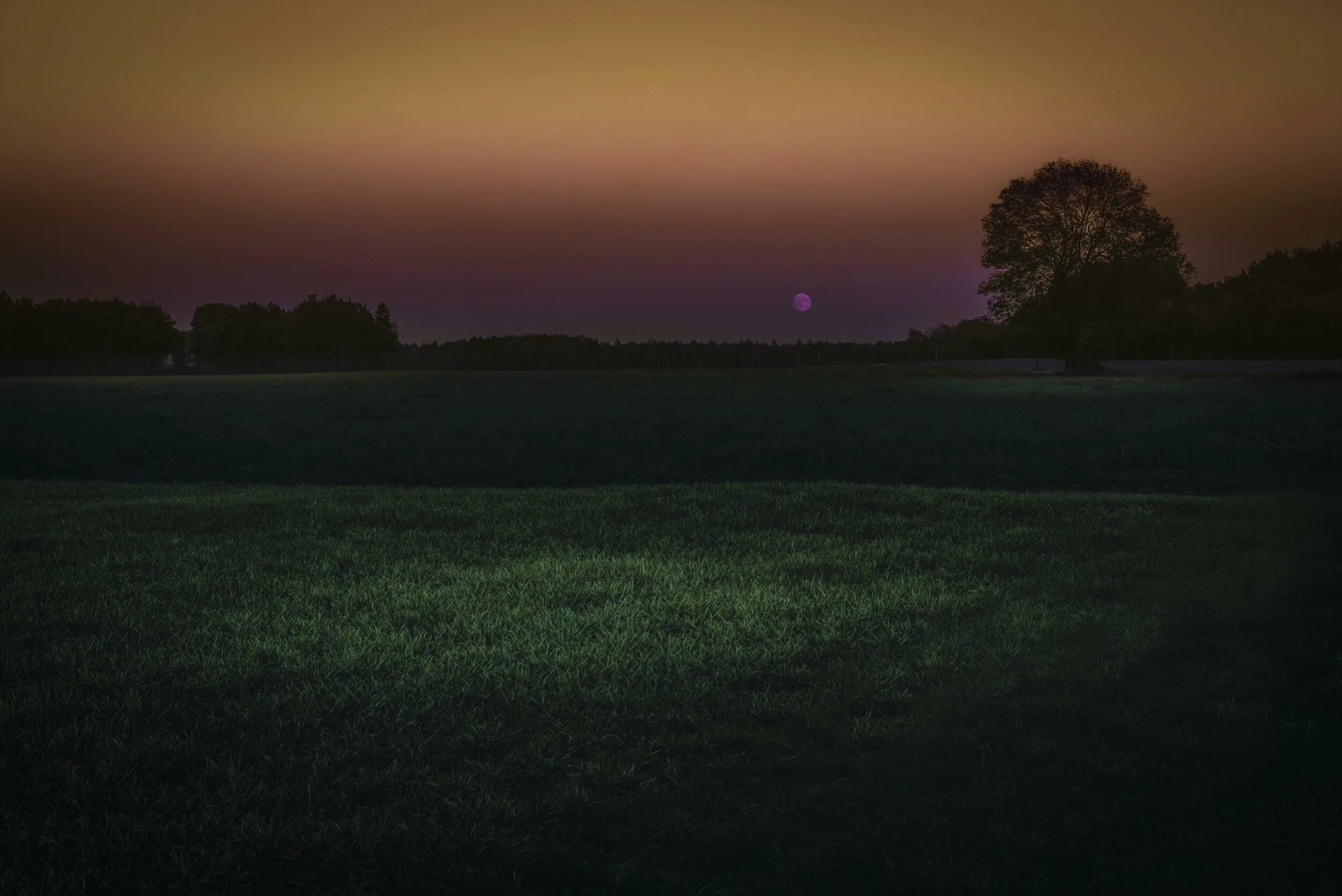 Поляна ночью фото Free Images : tree, nature, grass, horizon, light, cloud, sky, sunrise, sunset, 