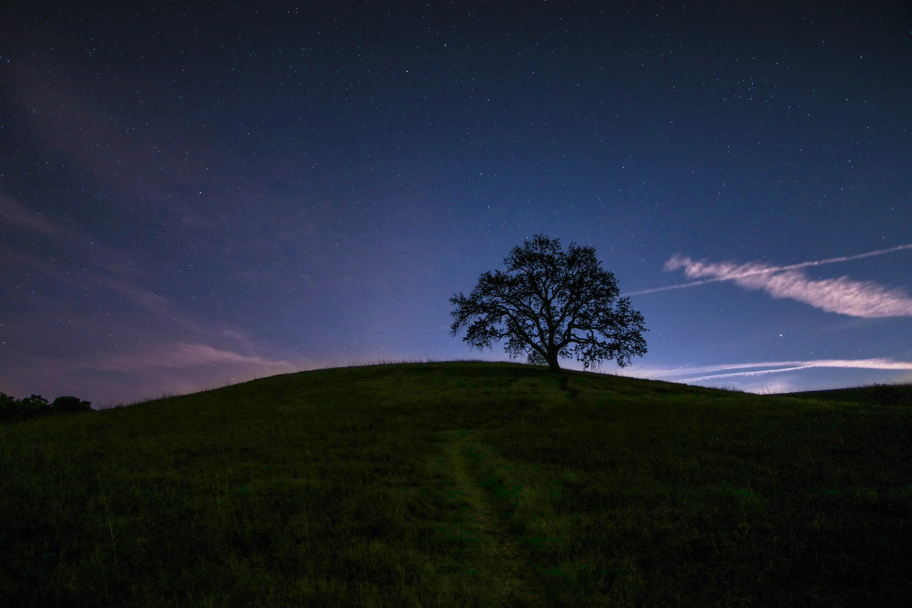 Поляна ночью фото Pin by Sunlight Embodied on Příroda Landscape, Green landscape, Night pictures