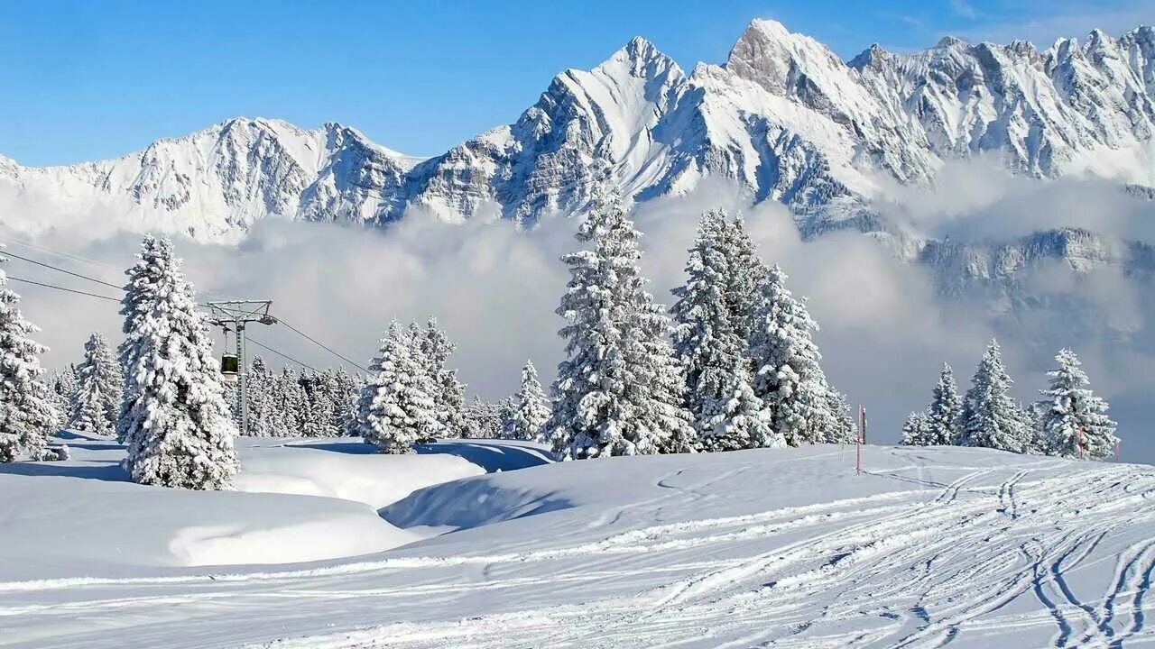 Поляна зимой фото Постер зимний лес - купить по низкой цене на Яндекс Маркете