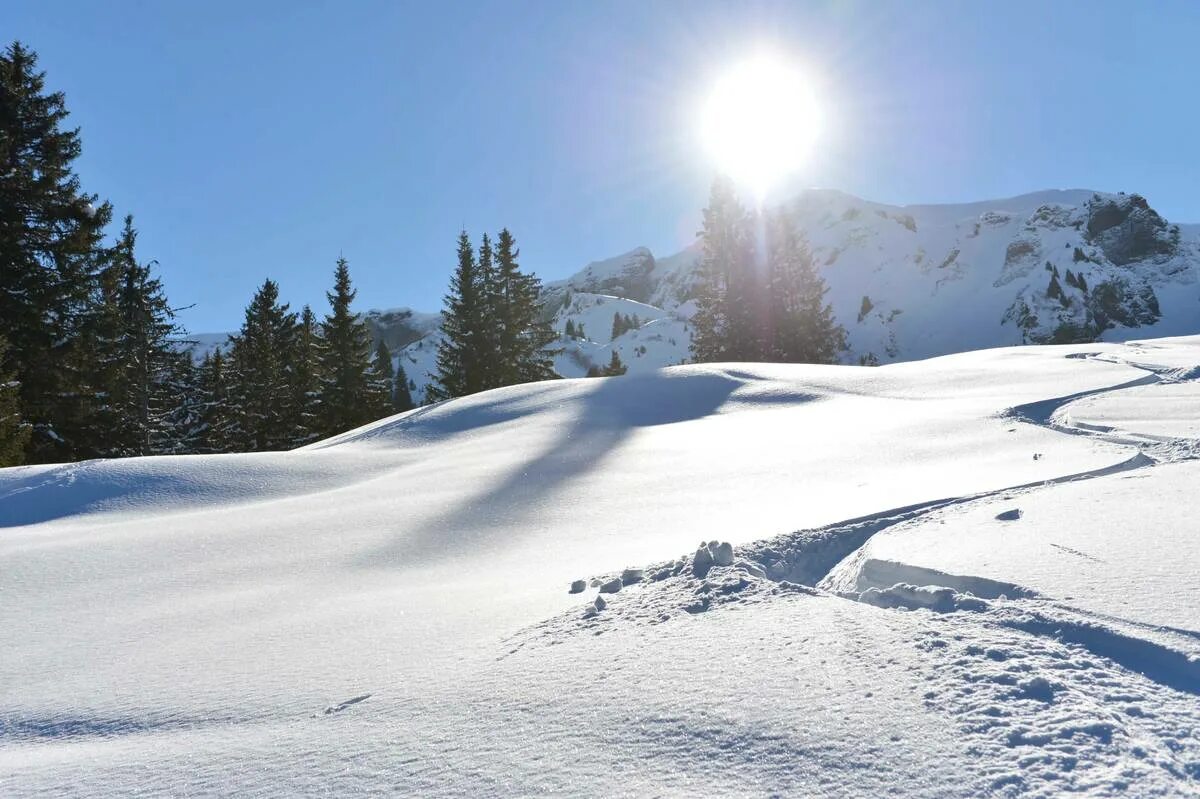 Поляна зимой фото All-inclusive ski resorts in France French Alps Club Med