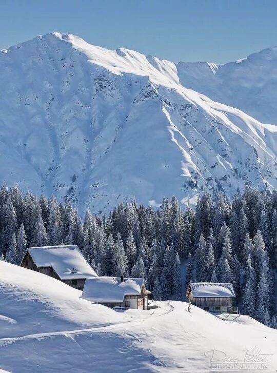 Поляна зимой фото Пин от пользователя Thomas Leus на доске Winter / Mountains Зимние сцены, Живопи