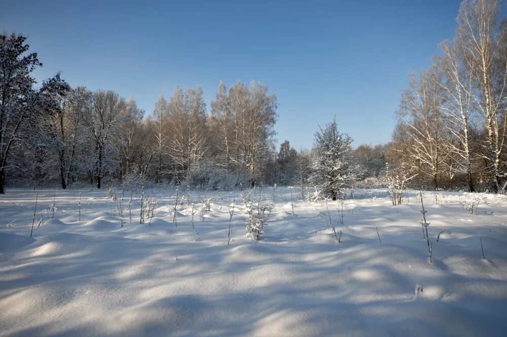 Поляна зимой фото foto-tula.ru - ФотоТула. Евгений Черноплёков. Зимой на поляне