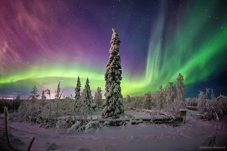 Полярная ночь днем фото Aurora Borealis: Captivating Photos of the Northern Lights