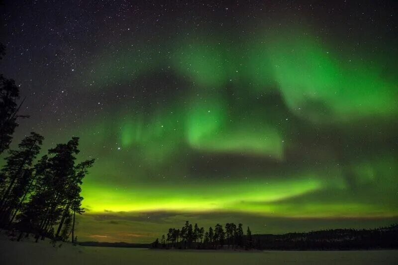 Полярная ночь фото Here you travel to Lapland