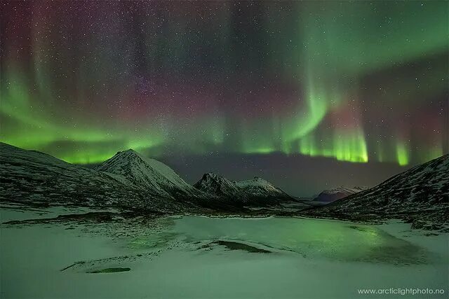 Полярная ночь в арктике фото Arctic Nights Arctic landscape, Aurora borealis northern lights, Arctic