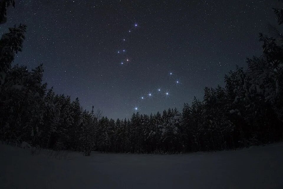 Полярная звезда на небе фото "Приготовьтесь тратить много денег" - сыктывкарские астрофотографы предупредили,