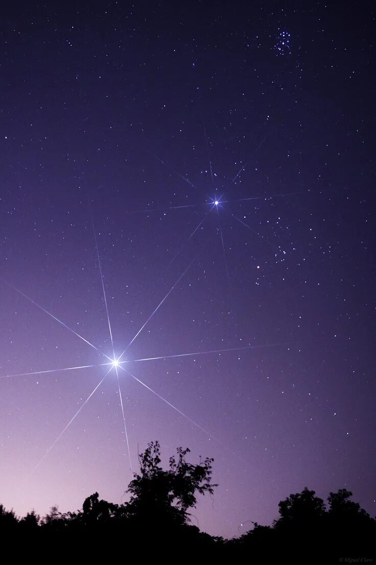 Полярная звезда на небе фото Pin on Art Twilight, Photography, Venus