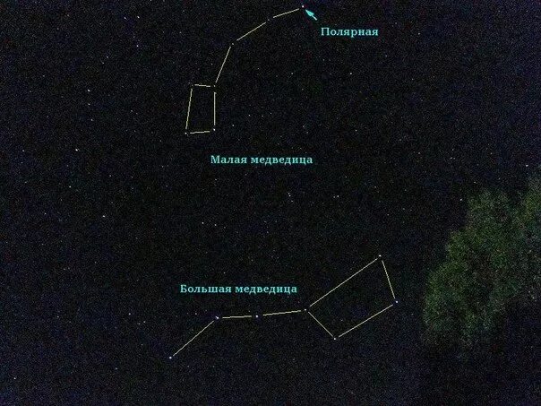 Полярная звезда на небе фото расположение Мерещится большая малая медведица слушать: найдено 89 картинок