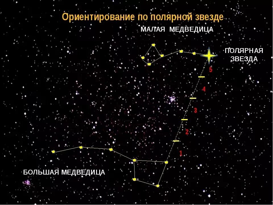 Полярная звезда на небе фото расположение летом Как назывались созвездия на Руси - Sage - КОНТ