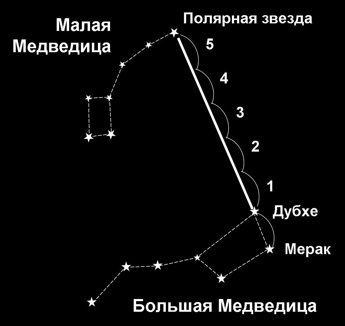 Полярная звезда на небе как найти фото С астрономией на "ты": Звёздное небо
