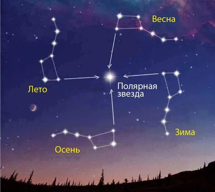 Полярная звезда на небе как найти фото Как определять точное время с помощью созвездия Большой Медведицы? Созвездия, Ге