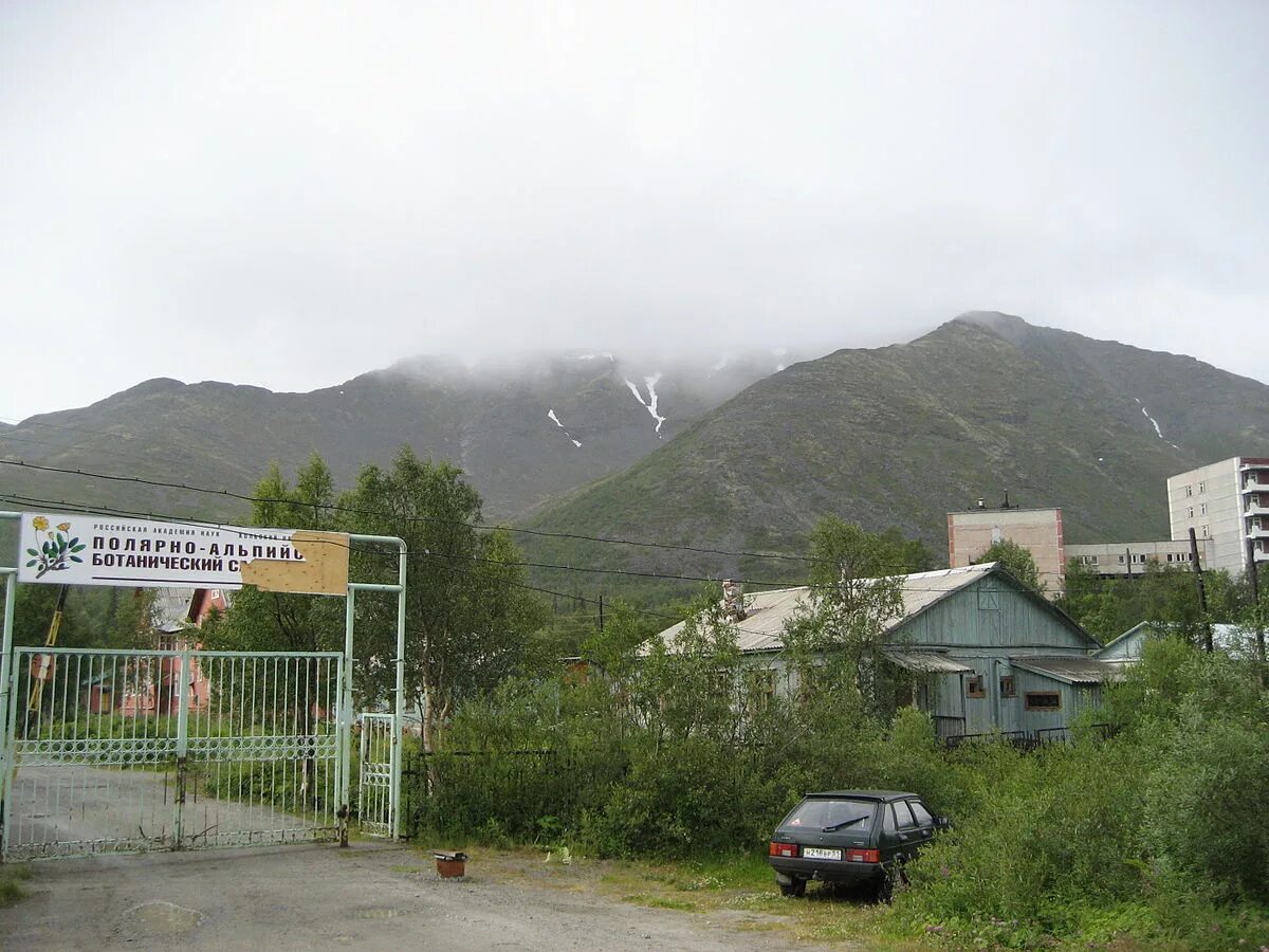 Полярно альпийский ботанический сад фото Файл:Khibini polyarno-alpiisky boyanichesky sad institut.JPG - Википедия