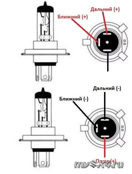 Полярность подключения лампочки ✵ Колодки подключения фар Cargen ✵ - Mitsubishi Galant (8G), 3,5 л, 2000 года эл