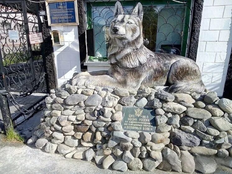 Полярный волк ул солдатова 21 фото СКР - главные новости и последние события - страница 77