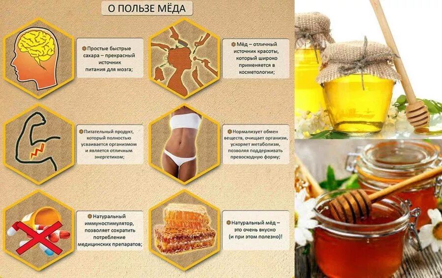 Польза меда фото Чеснок с медом польза и вред, применение при профилактики