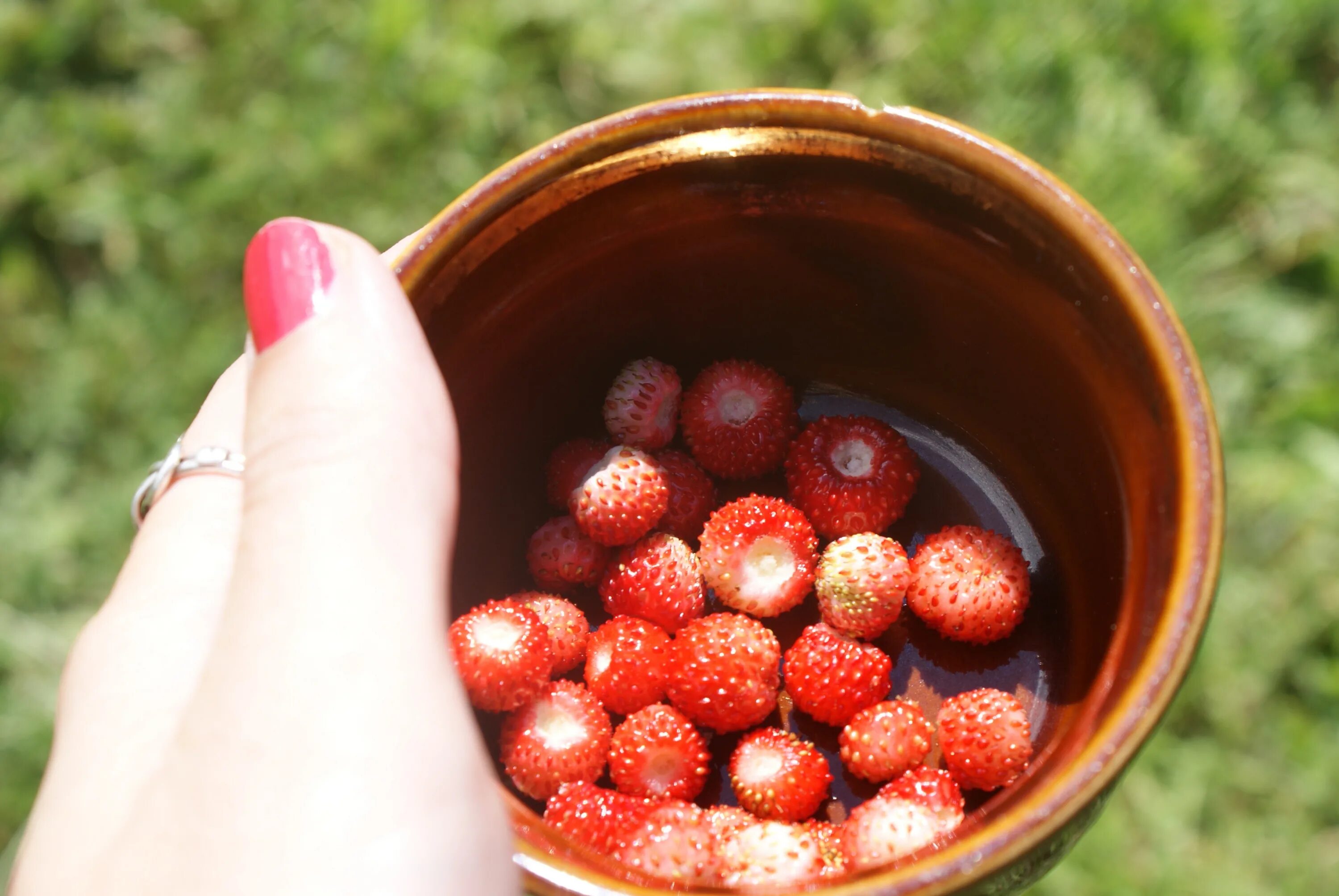 Ползуниха ягода фото Free Images : wild fruits, fruit strawberries, forest fruits, owocuj ce, jagoda,