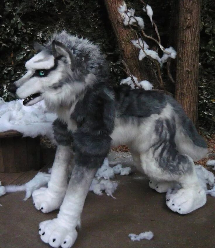 Помесь хаски с волком фото Custom Creature Costumes Beastcub Creations