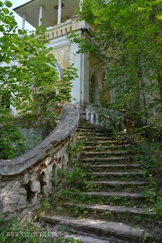 Поместье иванова в тверской области фото Усадьба Ивановское - Нататурка.Ру - Памятники Архитектуры и Не Только