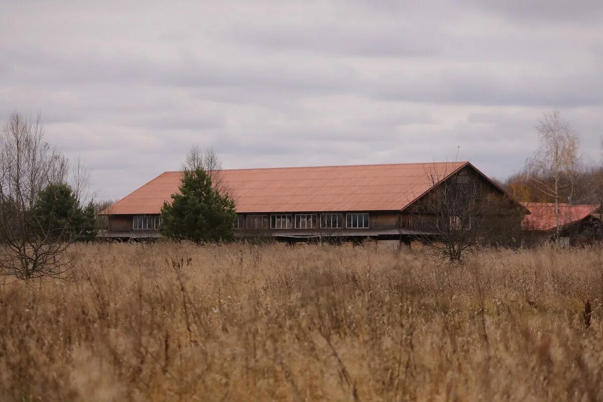 Поместье михалкова в нижегородской области фото Тёмное Тёмино Никиты Михалкова